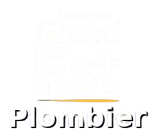 Nancy Plombier — logo